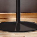Вентилятор напольный Electrolux EFF-1015
