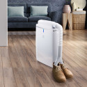 Осушитель воздуха Electrolux EDH-20L