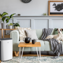 Осушитель воздуха серии CARISMA Loft RD-CR20-E