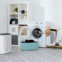 Осушитель воздуха серии CARISMA Villa RD-CR30-E